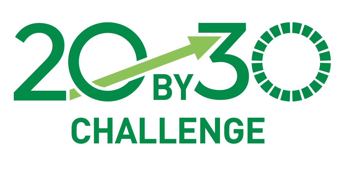 20x30 Challenge